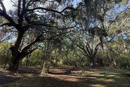 7939 Legare Road photo 4