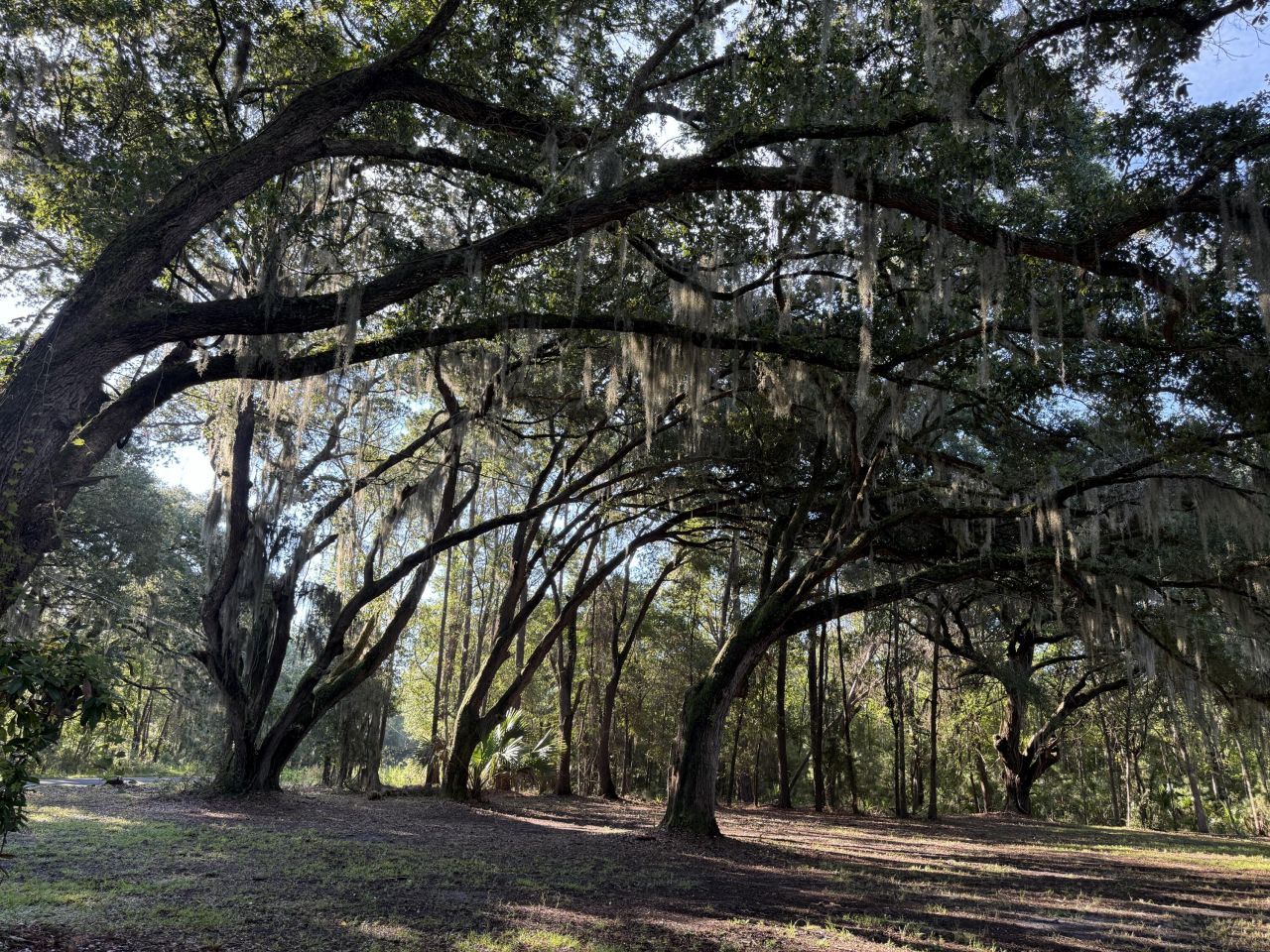 7939 Legare Road Photo 6