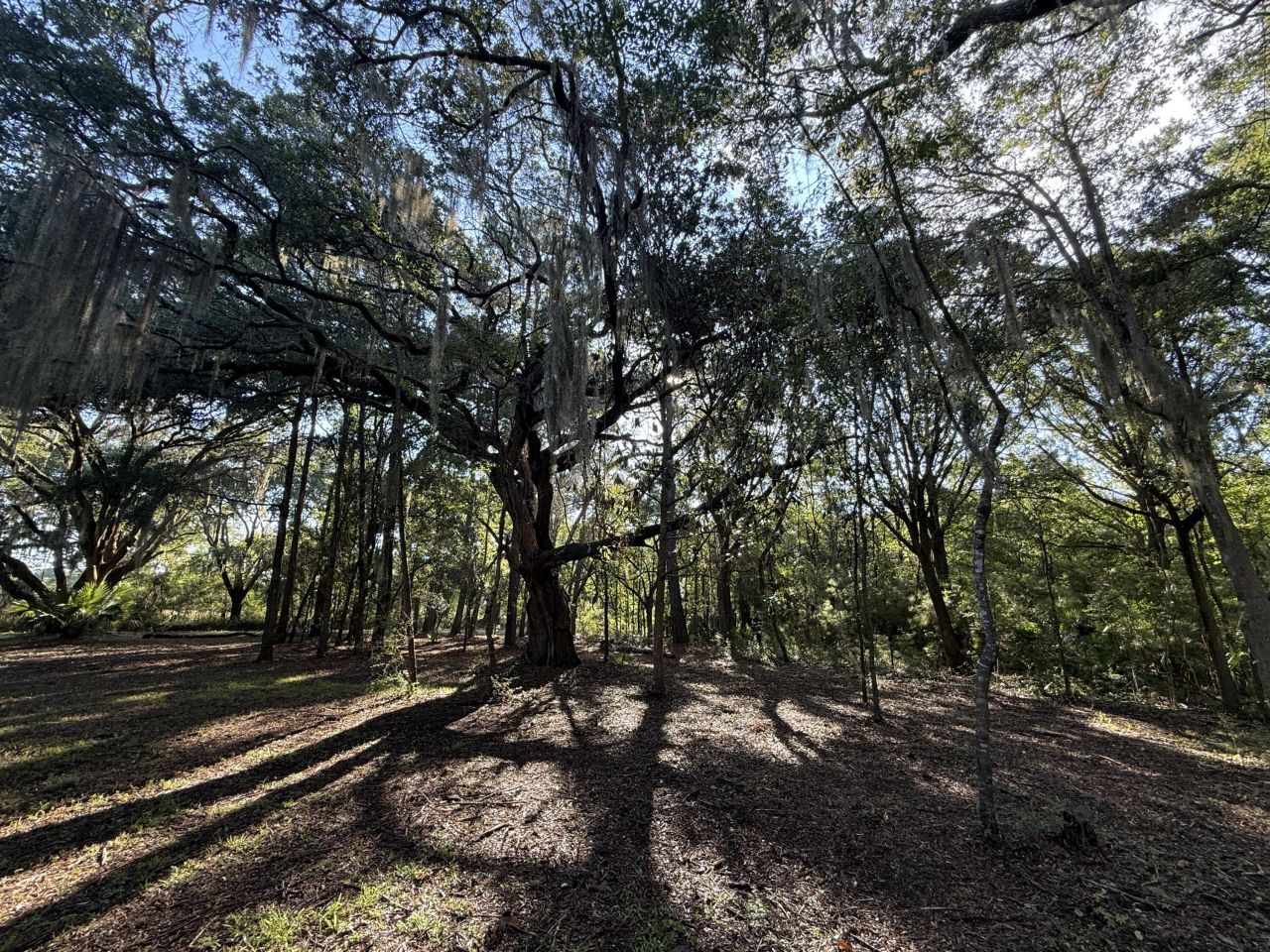 7939 Legare Road Photo 7