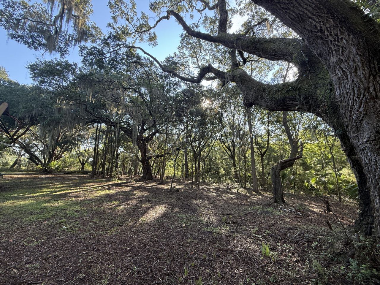 7939 Legare Road Photo 8