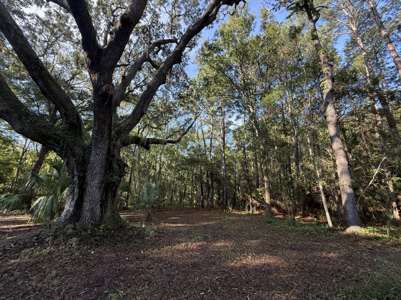 7939 Legare Road Photo 9