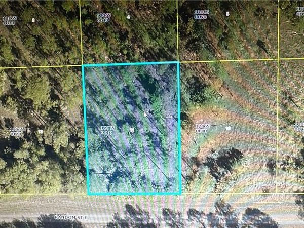 1243 Random ST E, LEHIGH ACRES, FL 33974