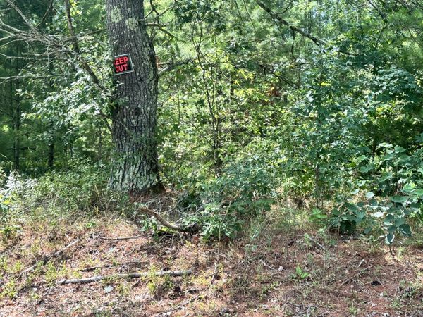 8283 S Harperwoods ST Terrace, Unit 3, Idlewild, MI 49642