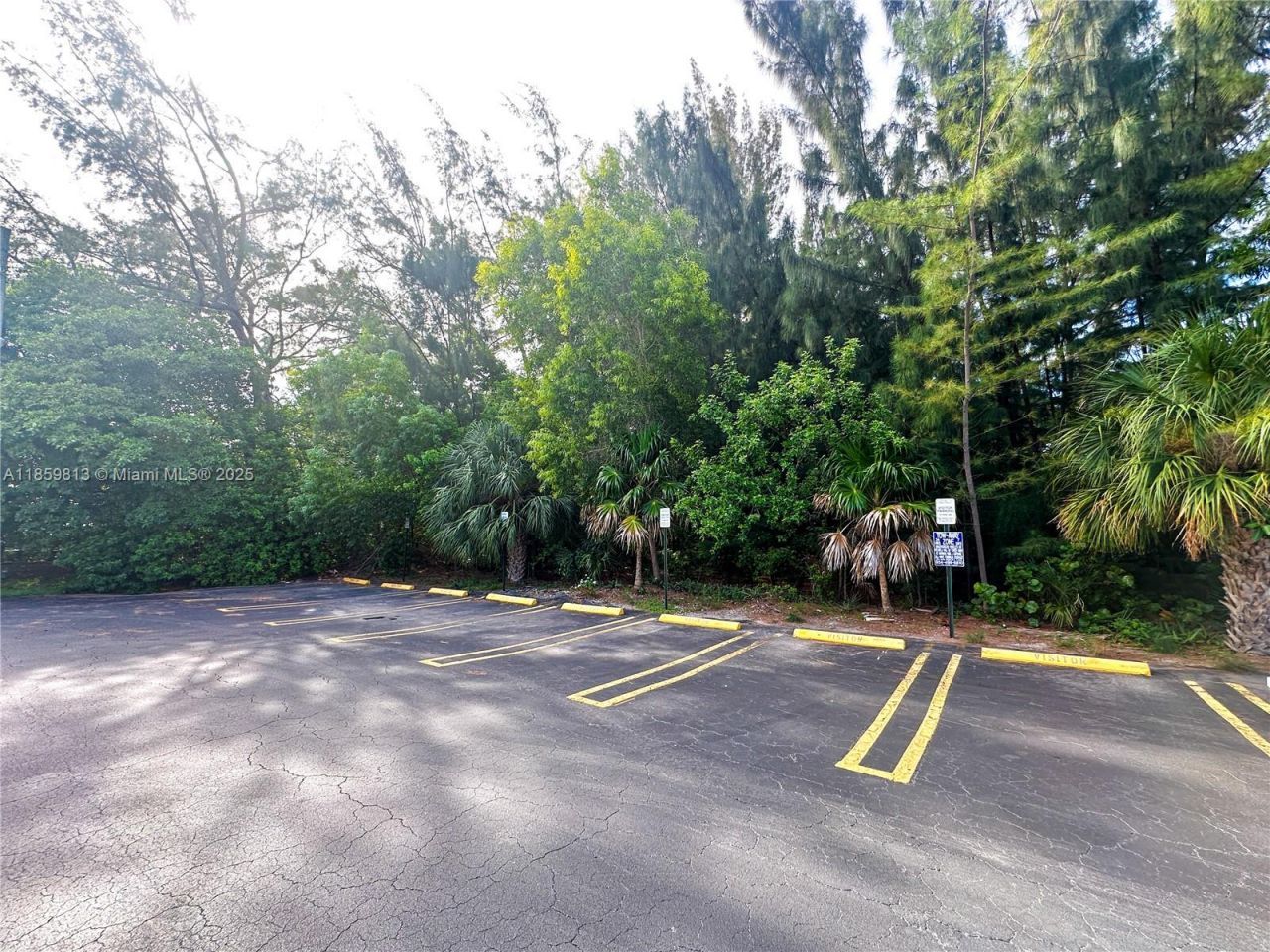 700 Layne Blvd, Unit 210, Hallandale Beach, FL 33009 Photo