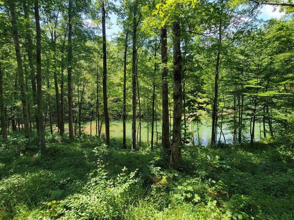 LOT 25 Legendary Parkway, Arley, AL 35541