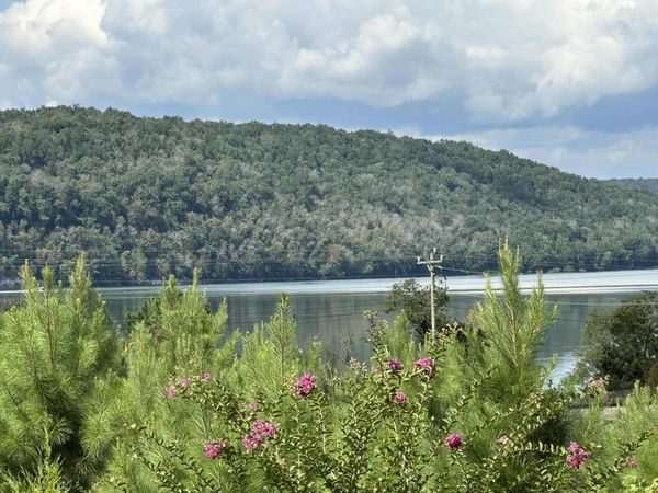 Lot #6 Highway 156, South Pittsburg, TN 37380