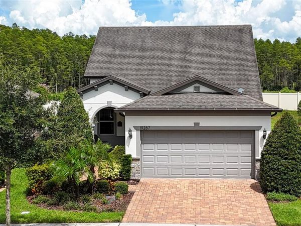 19287 COASTAL SHORE TERRACE, LAND O LAKES, FL 34638