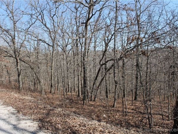 Moira Road , Unit 122, Edwards, MO 65326