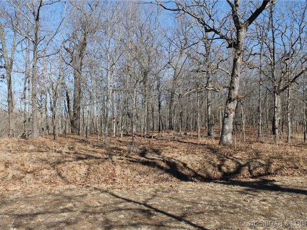 Dunn Drive , Unit 1342, Edwards, MO 65326