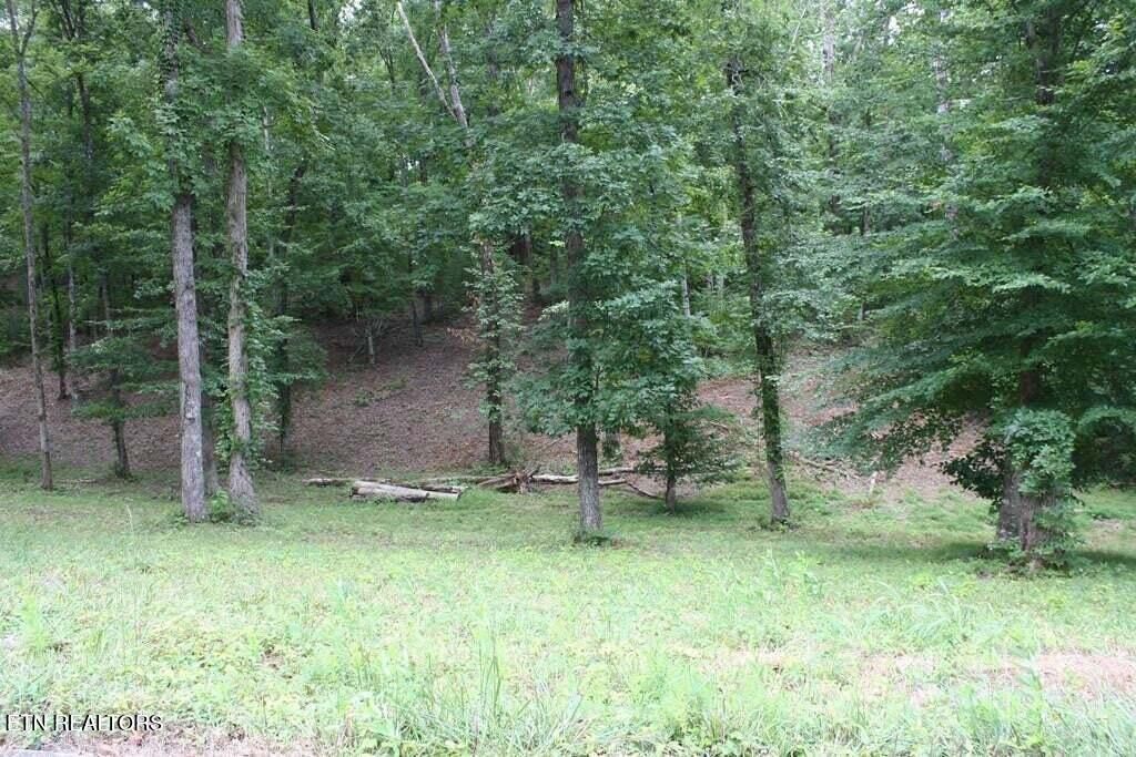 Lot 6 Cypress Drive, Dandridge, TN 37725 Main Photo