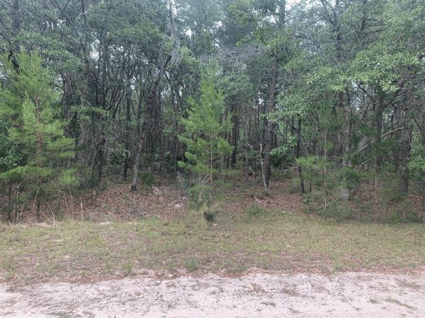 0 Huron, Interlachen, FL 32148