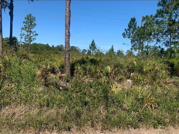 329 Phesant Boulevard, Sebring, FL 33872