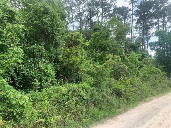 0 Coot Drive, Satsuma, FL 32189