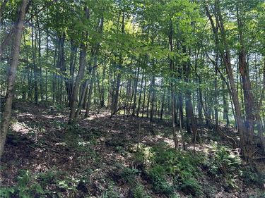 Old Gladstone Hollow, Andes, NY 13731