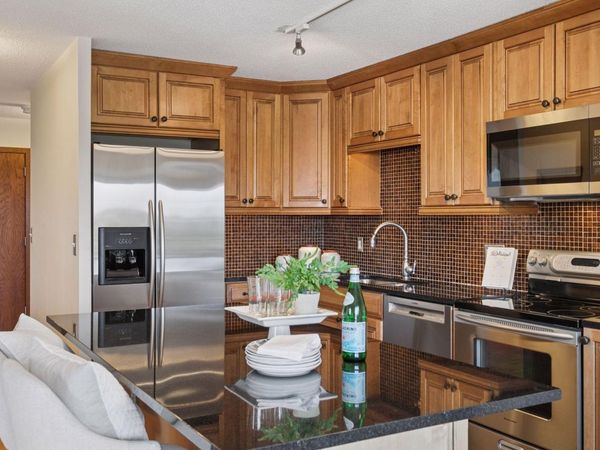 410 Groveland Avenue, Unit 501, Minneapolis, MN 55403