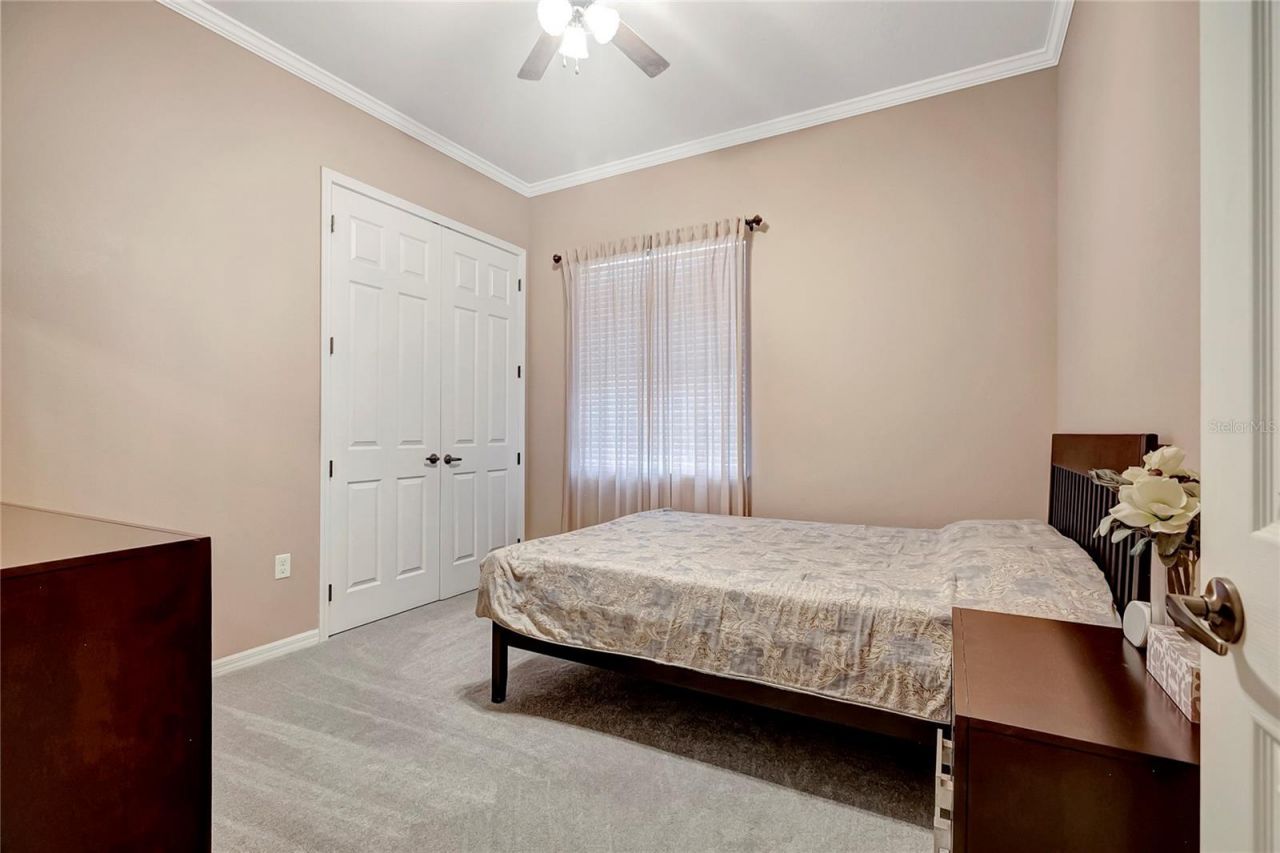 9317 Lisbon Street, Seffner, FL 33584 Photo