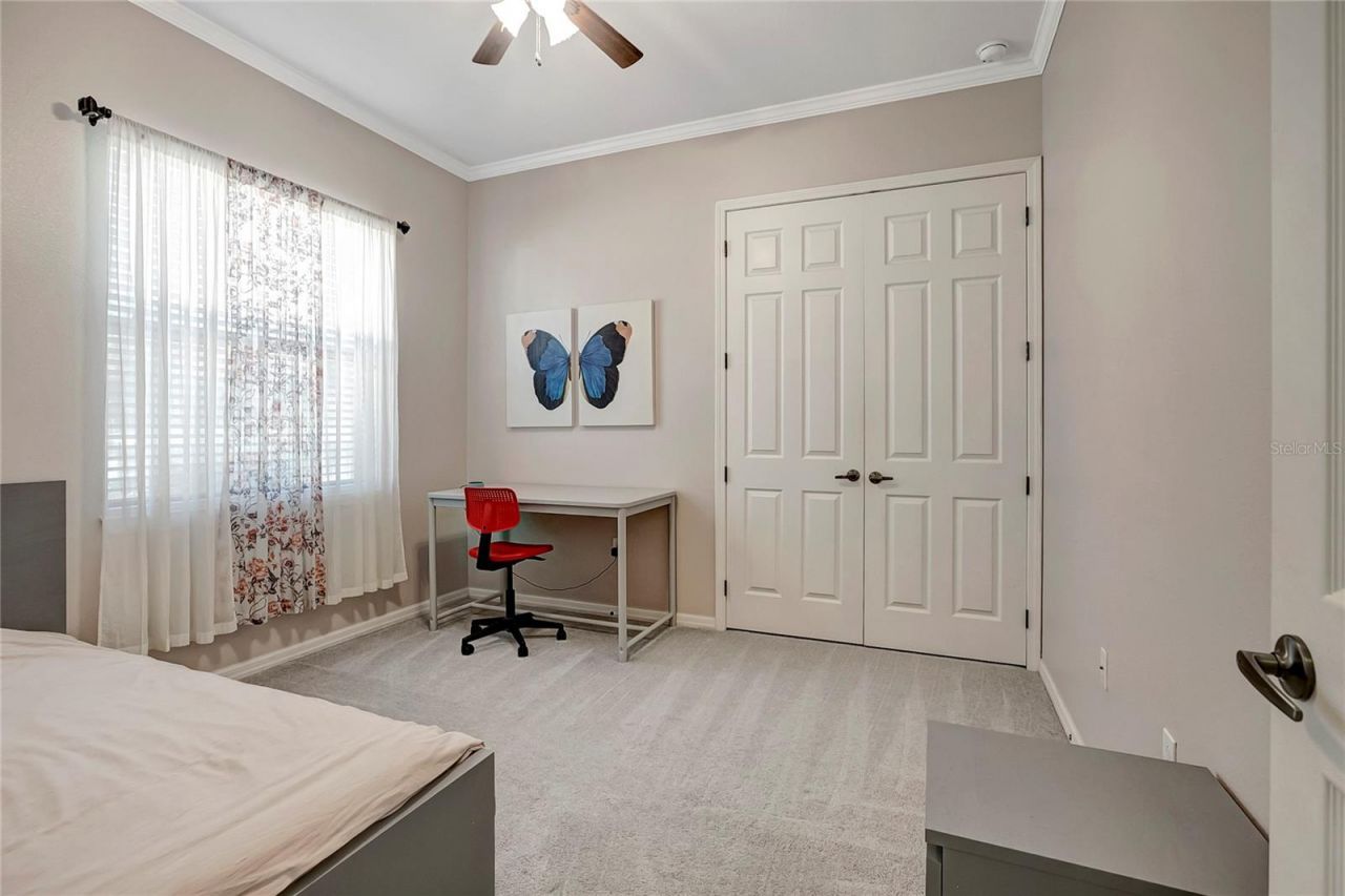 9317 Lisbon Street, Seffner, FL 33584 Photo