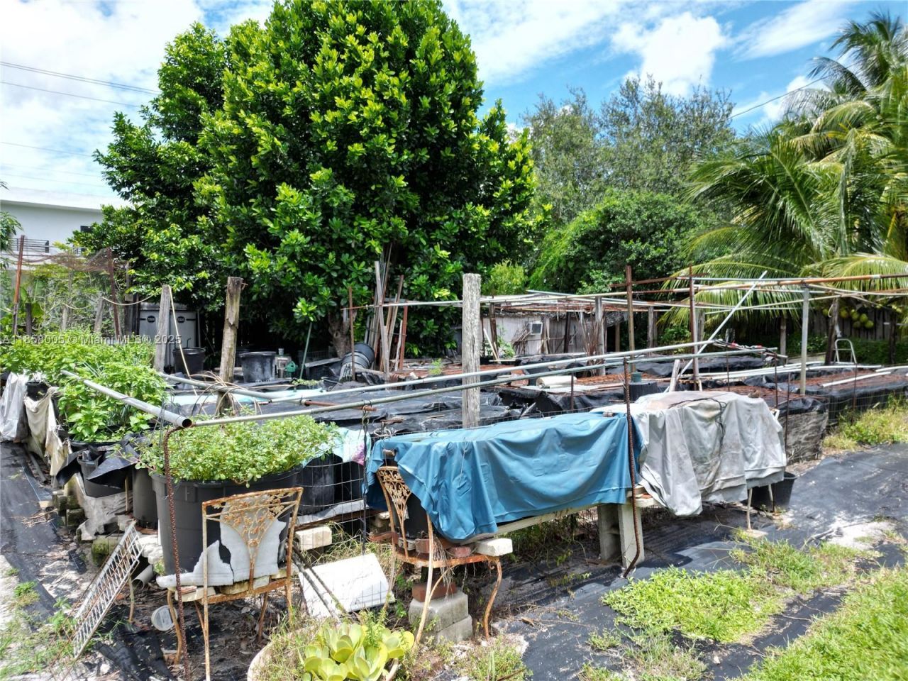 2527 Fillmore St, Hollywood, FL 33020 Photo