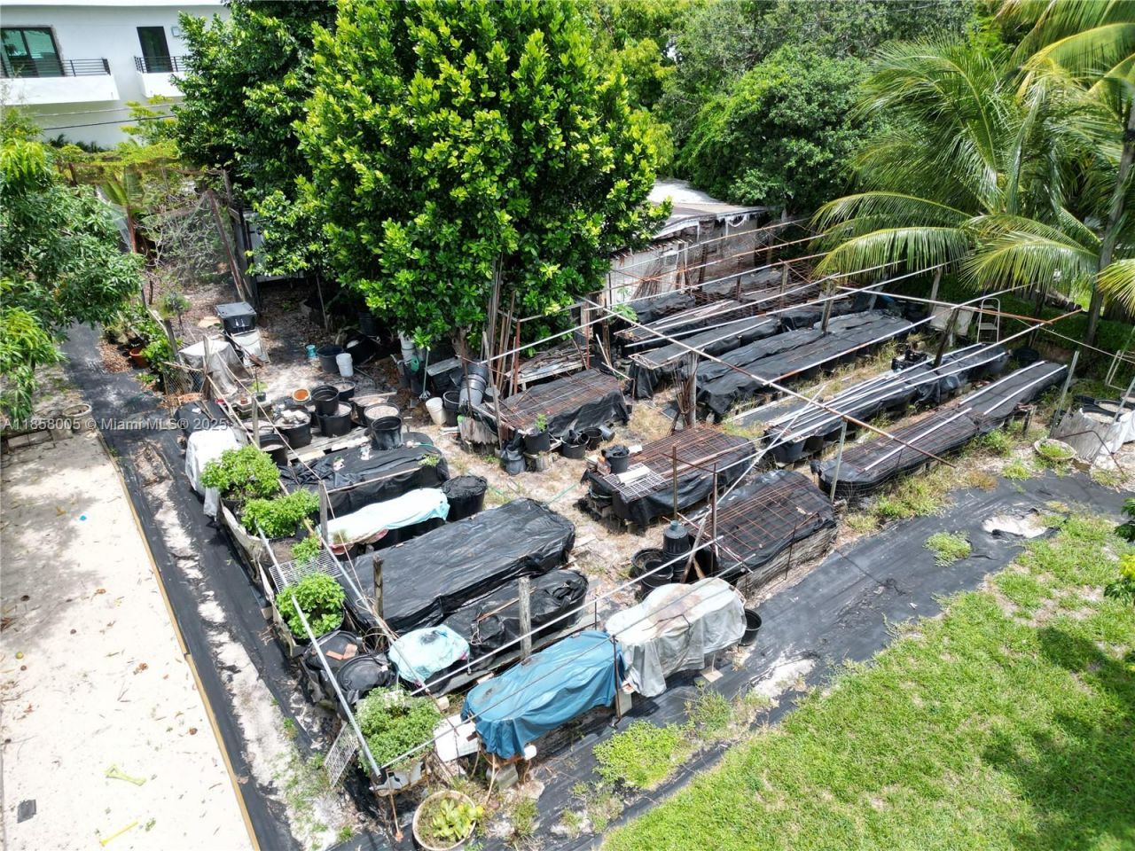 2527 Fillmore St, Hollywood, FL 33020 Photo