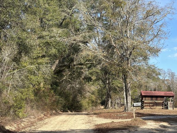 Tract#6331 Sellers Road, Bonifay, FL 32425