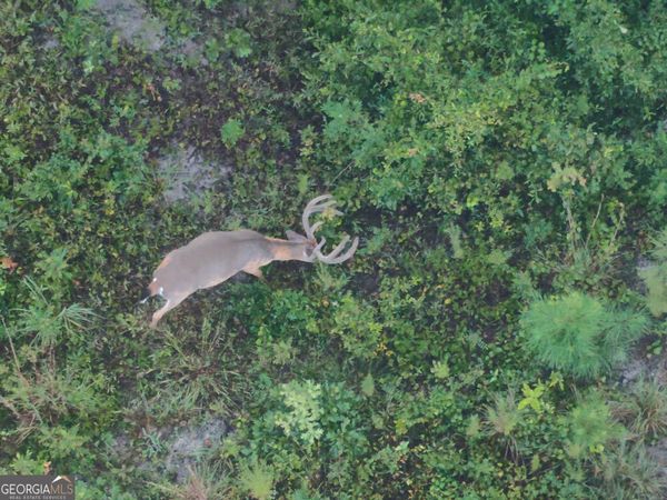 0 Laurel Branch Road, Mcintyre, GA 31054