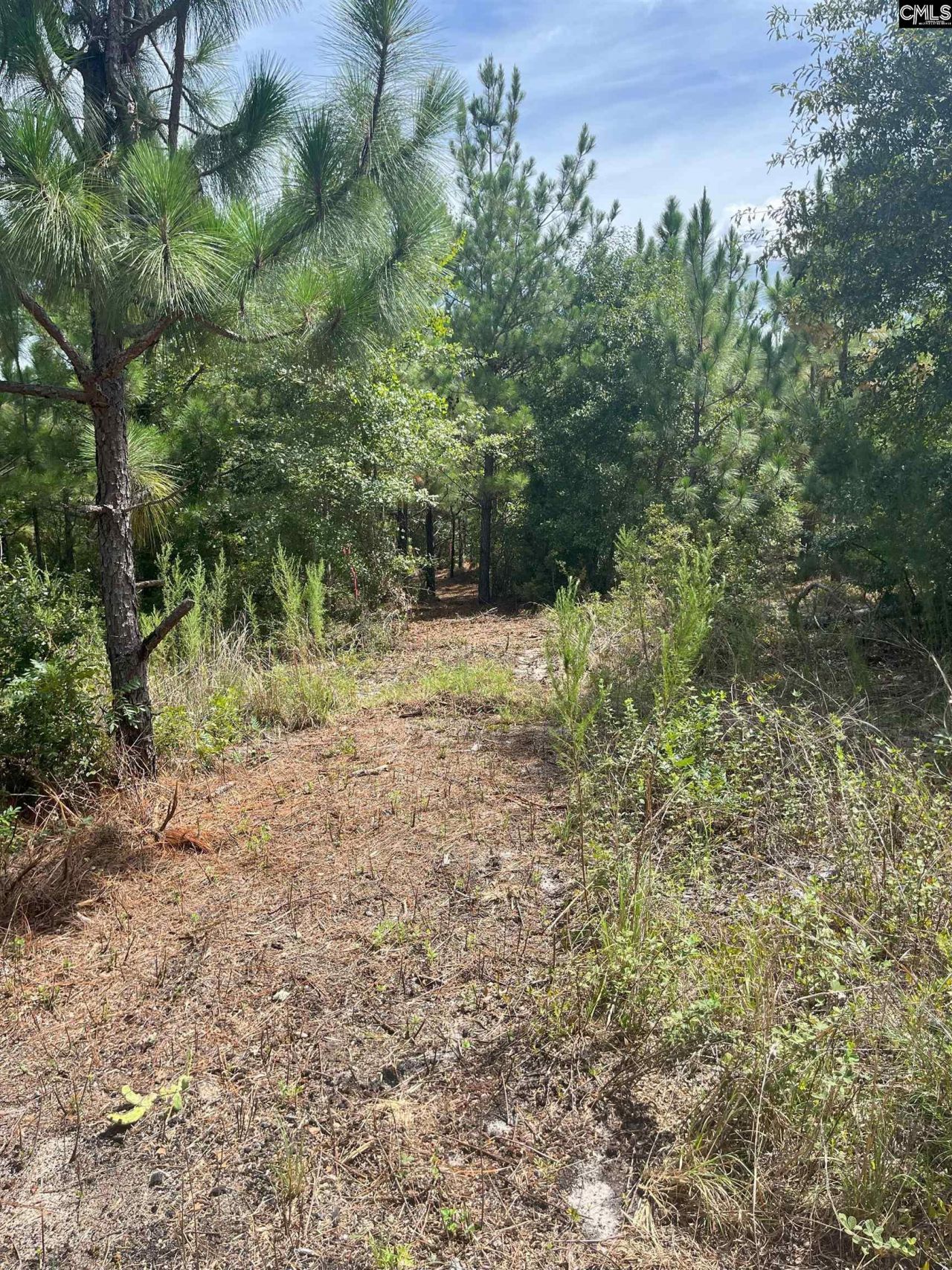 Ppf 6 Payne Pond Road Photo 12