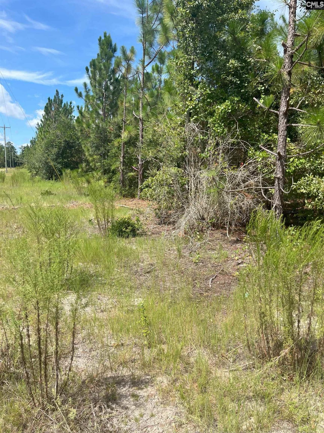 Ppf 6 Payne Pond Road Photo 4