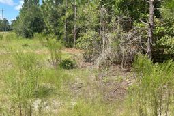 Ppf 6 Payne Pond Road photo 4