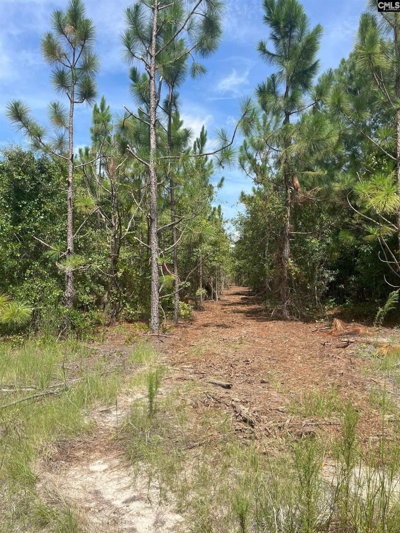 Ppf 6 Payne Pond Road Photo 6