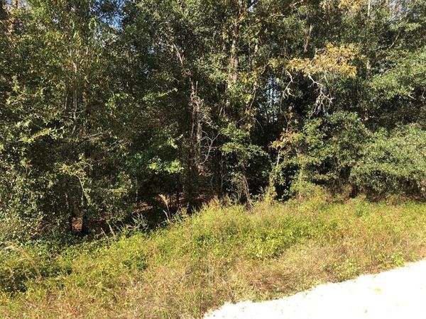0 Evans Avenue, Interlachen, FL 32148