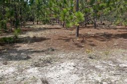 Ppf 8 Payne Pond Road photo 4