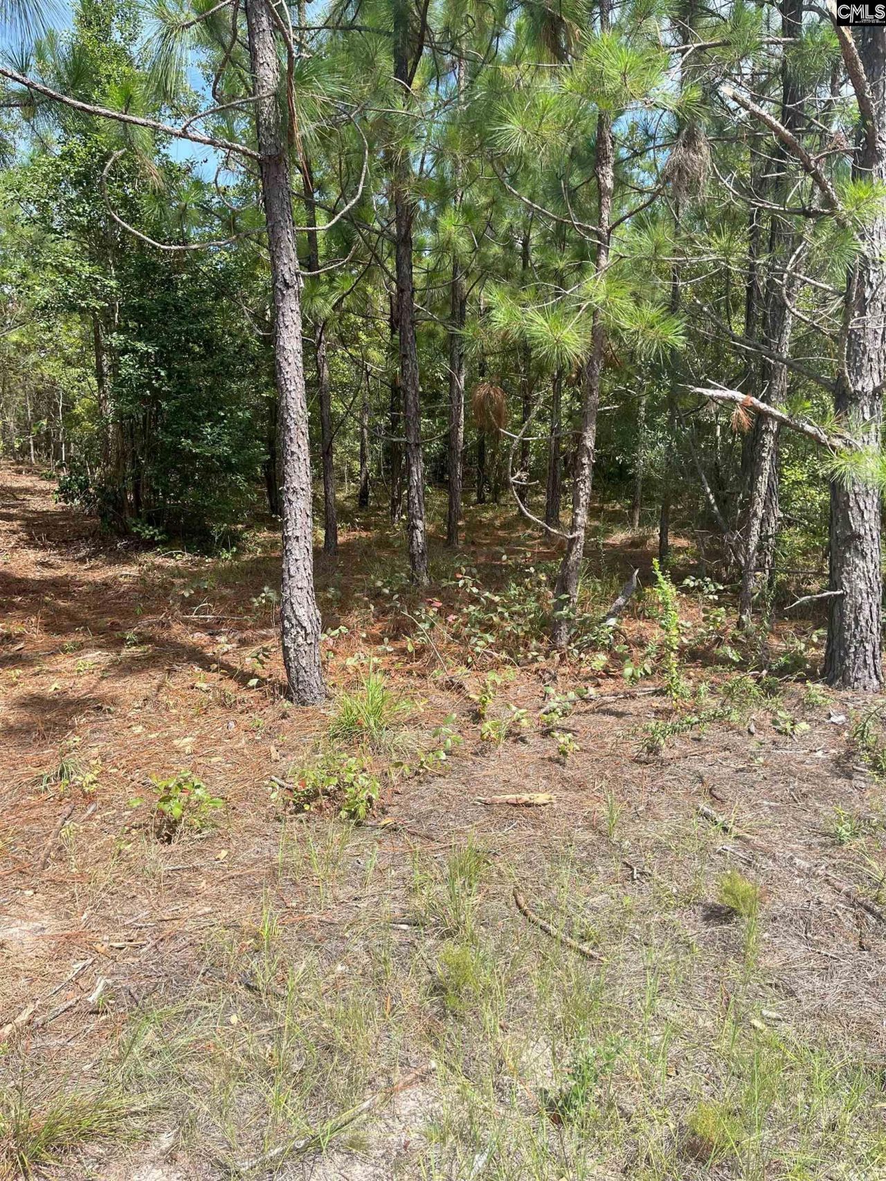 Ppf 8 Payne Pond Road Photo 4