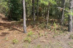 Ppf 8 Payne Pond Road photo 4