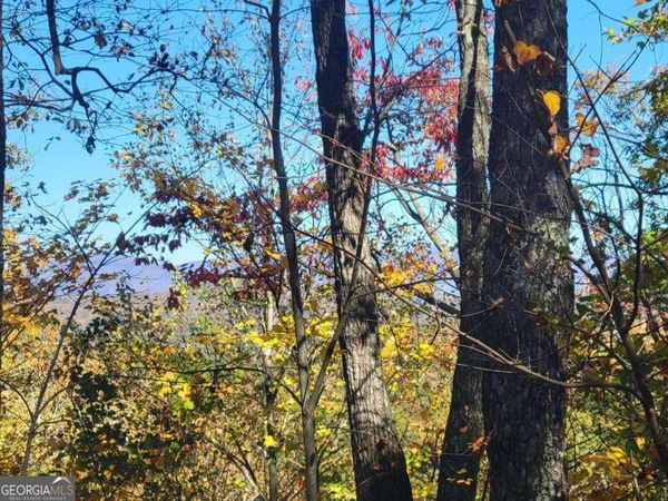 14 AC Old Burnt Mountain, Ellijay, GA 30540