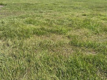 74 LOCUST RUN, OCALA, FL 34472