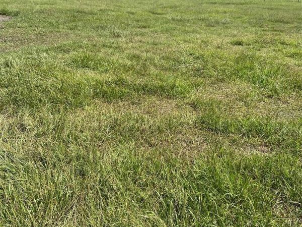 74 LOCUST RUN, OCALA, FL 34472