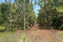 Ppf 11 Payne Pond Road photo 4