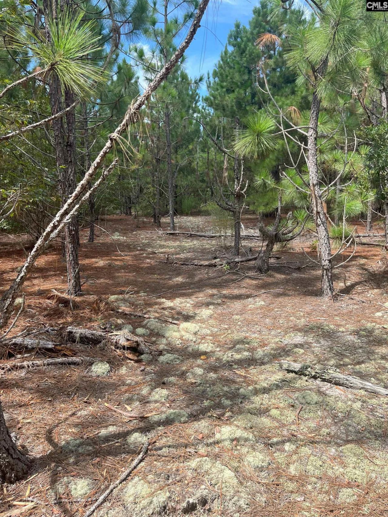 Ppf 11 Payne Pond Road Photo 6