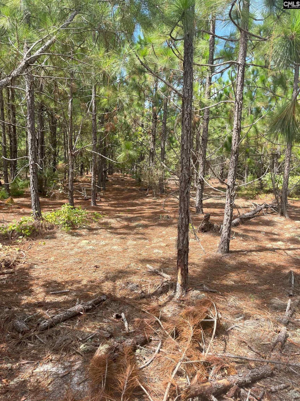 Ppf 11 Payne Pond Road Photo 7