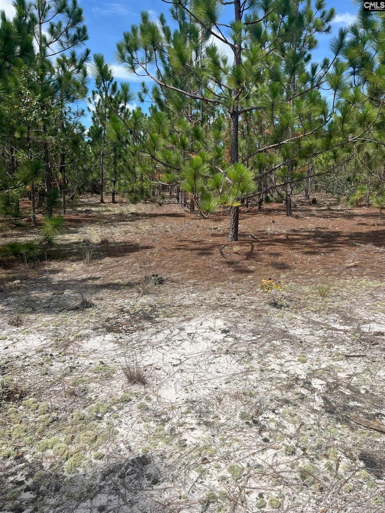 Ppf 11 Payne Pond Road Photo 8