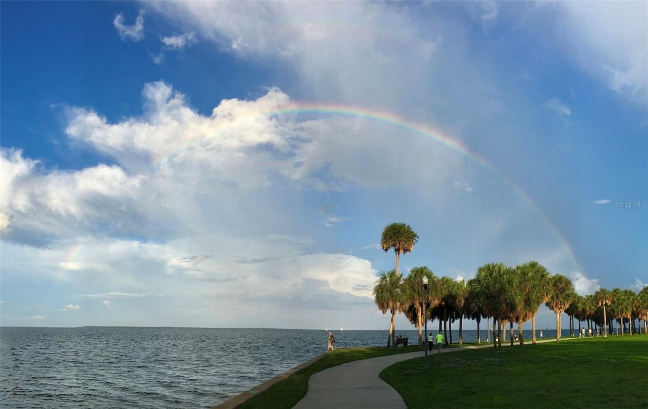 600 3rd Avenue S, Unit 406, Saint Petersburg, FL 33701 Photo