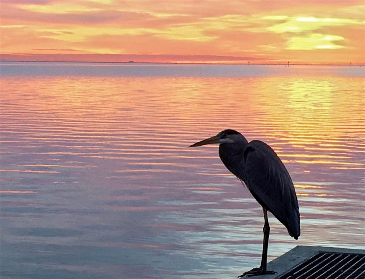 600 3rd Avenue S, Unit 406, Saint Petersburg, FL 33701 Photo