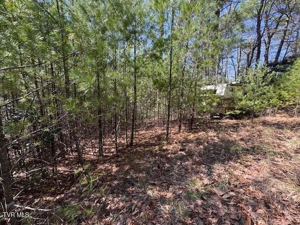 0 Buck Hollow Trail, Sugar Grove, VA 24375