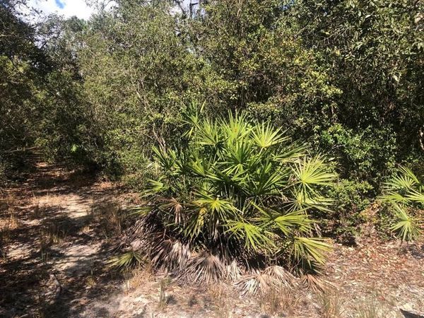 0 Oregon St, Interlachen, FL 32148