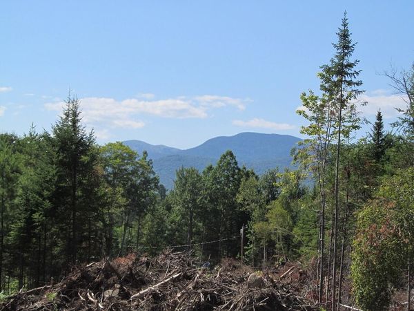 929 Center Hill Road Road, Weld, ME 04285