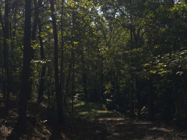 3746 Leach Road, Gainesville, GA 30506