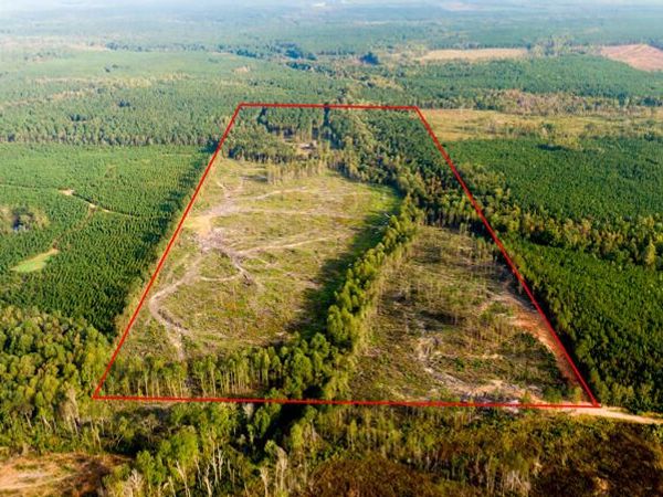 1105 McGee Thompson Road, Ackerman, MS 39735