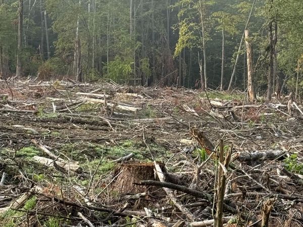 352 Dickinson Hill Road, Bolton, NY 12824