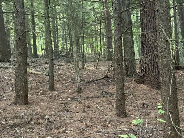 344 Dickinson Hill Road, Bolton, NY 12824