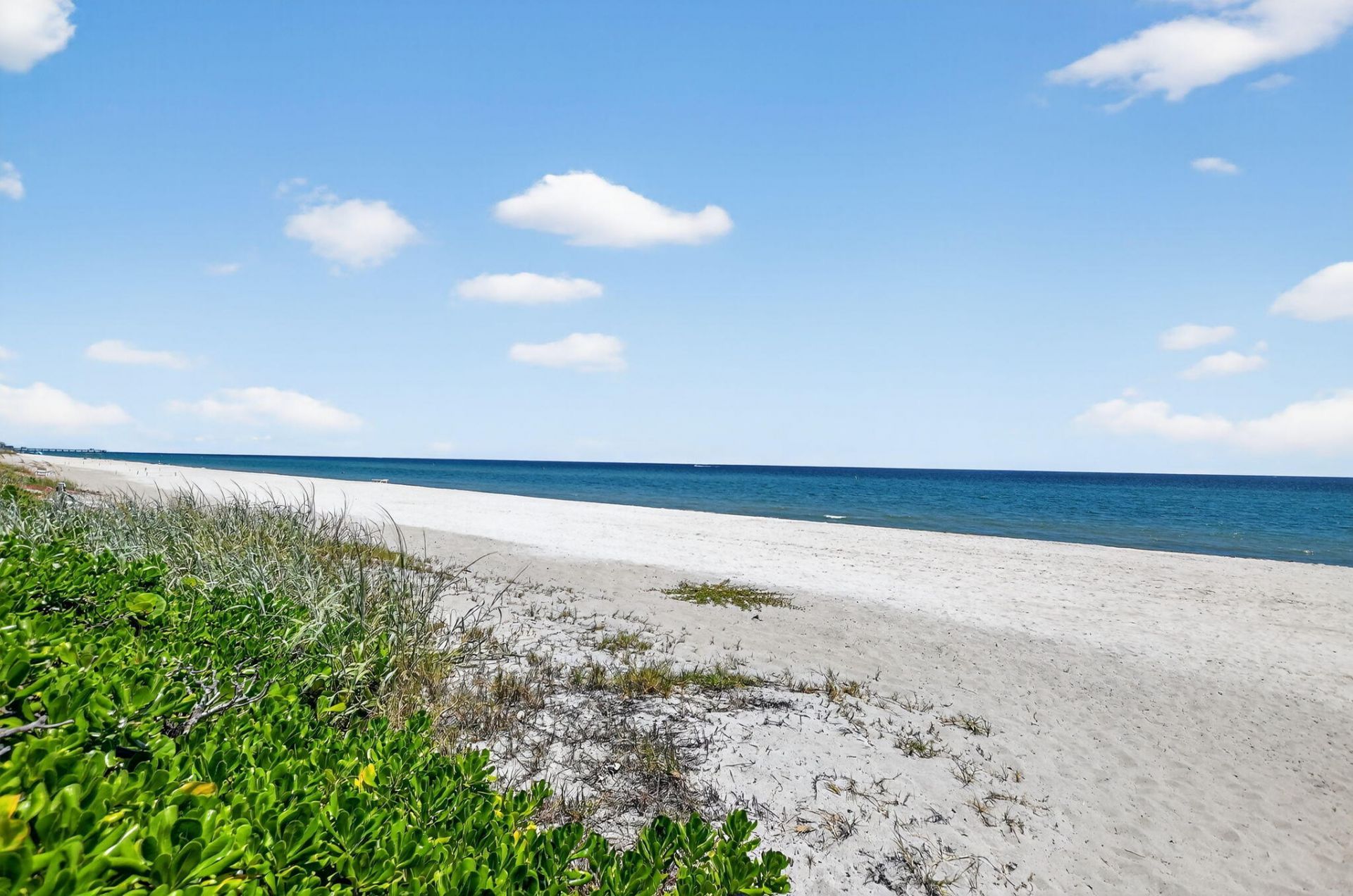 1187 Hillsboro Mile, Unit 12e, Hillsboro Beach, FL 33062 Photo